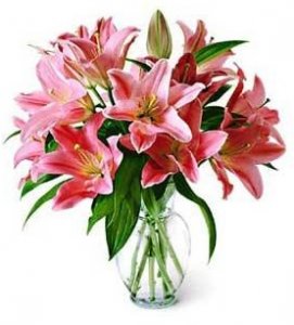 Fino florero de lilium rojos o rasado