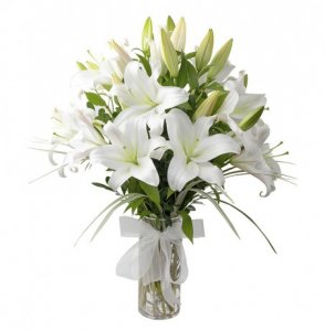 Lilium en fino jarron de vidrio